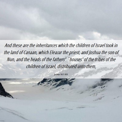 Picture 06 - Joshua 14:1 ASV - And these are the inheritances which the children - Bible Verse Picture
