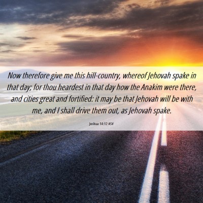 Picture 06 - Joshua 14:12 ASV - Now therefore give me this hill-country, whereof - Bible Verse Picture