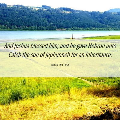 Picture 06 - Joshua 14:13 ASV - And Joshua blessed him; and he gave Hebron unto - Bible Verse Picture