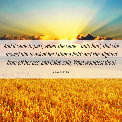 Picture 06 - Joshua 15:18 ASV - And it came to pass, when she came `unto him', - Bible Verse Picture