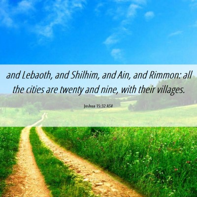 Picture 06 - Joshua 15:32 ASV - and Lebaoth, and Shilhim, and Ain, and Rimmon: - Bible Verse Picture
