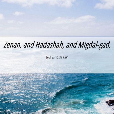Picture 06 - Joshua 15:37 ASV - Zenan, and Hadashah, and - Bible Verse Picture