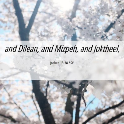 Picture 06 - Joshua 15:38 ASV - and Dilean, and Mizpeh, and - Bible Verse Picture