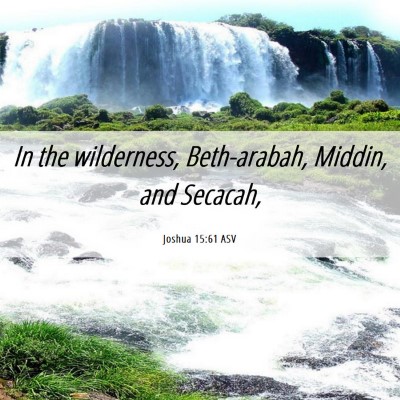 Picture 06 - Joshua 15:61 ASV - In the wilderness, Beth-arabah, Middin, and - Bible Verse Picture