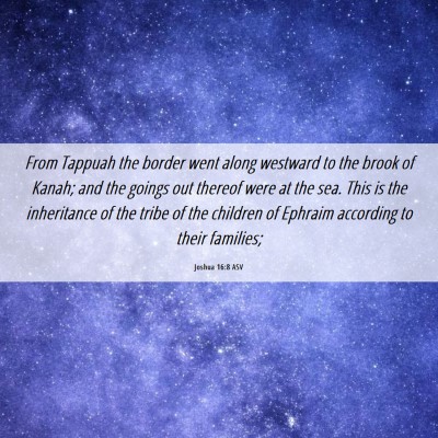 Picture 06 - Joshua 16:8 ASV - From Tappuah the border went along westward to - Bible Verse Picture