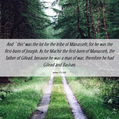 Picture 06 - Joshua 17:1 ASV - And `this' was the lot for the tribe of Manasseh; - Bible Verse Picture