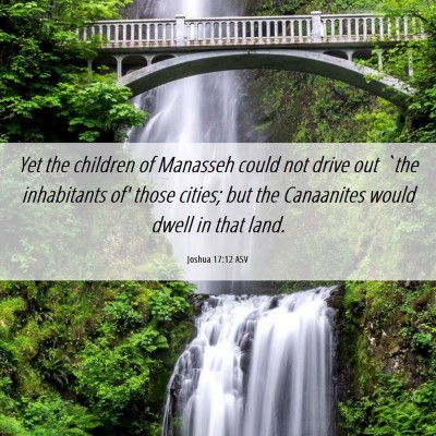 Picture 06 - Joshua 17:12 ASV - Yet the children of Manasseh could not drive out - Bible Verse Picture