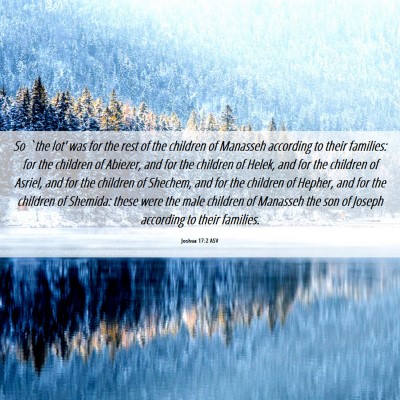 Picture 06 - Joshua 17:2 ASV - So `the lot' was for the rest of the children of - Bible Verse Picture