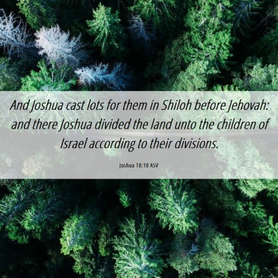 Picture 06 - Joshua 18:10 ASV - And Joshua cast lots for them in Shiloh before - Bible Verse Picture