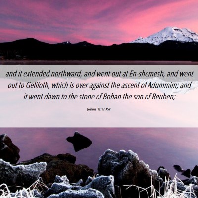 Picture 06 - Joshua 18:17 ASV - and it extended northward, and went out at - Bible Verse Picture