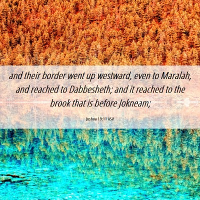 Picture 06 - Joshua 19:11 ASV - and their border went up westward, even to - Bible Verse Picture