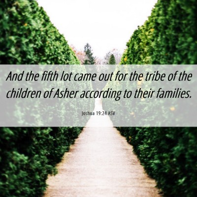 Picture 06 - Joshua 19:24 ASV - And the fifth lot came out for the tribe of the - Bible Verse Picture