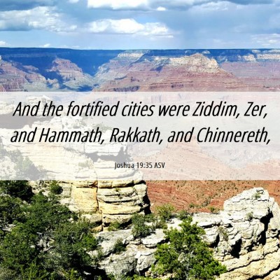 Picture 06 - Joshua 19:35 ASV - And the fortified cities were Ziddim, Zer, and - Bible Verse Picture