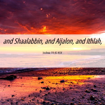 Picture 06 - Joshua 19:42 ASV - and Shaalabbin, and Aijalon, and - Bible Verse Picture