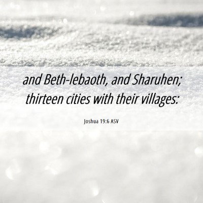Picture 06 - Joshua 19:6 ASV - and Beth-lebaoth, and Sharuhen; thirteen cities - Bible Verse Picture