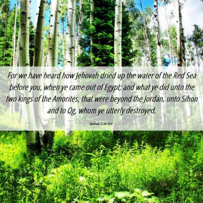 Picture 06 - Joshua 2:10 ASV - For we have heard how Jehovah dried up the water - Bible Verse Picture