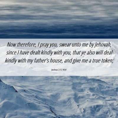 Picture 06 - Joshua 2:12 ASV - Now therefore, I pray you, swear unto me by - Bible Verse Picture
