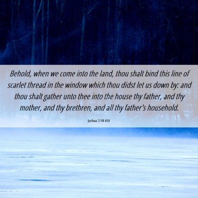 Picture 06 - Joshua 2:18 ASV - Behold, when we come into the land, thou shalt - Bible Verse Picture