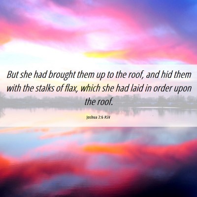 Picture 06 - Joshua 2:6 ASV - But she had brought them up to the roof, and hid - Bible Verse Picture