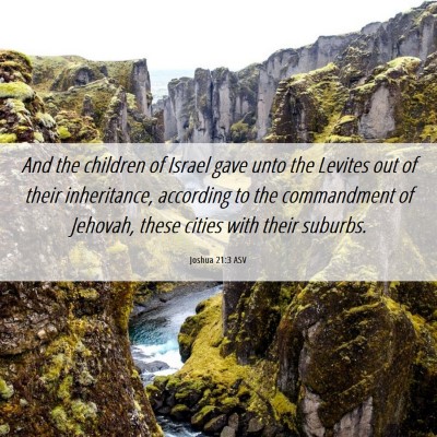 Picture 06 - Joshua 21:3 ASV - And the children of Israel gave unto the Levites - Bible Verse Picture