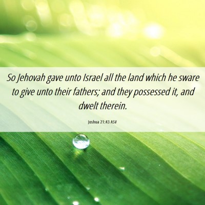 Picture 06 - Joshua 21:43 ASV - So Jehovah gave unto Israel all the land which he - Bible Verse Picture