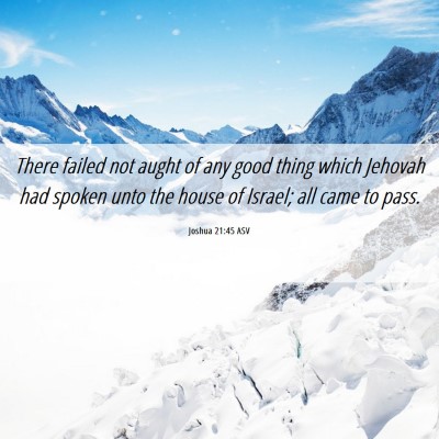 Picture 06 - Joshua 21:45 ASV - There failed not aught of any good thing which - Bible Verse Picture