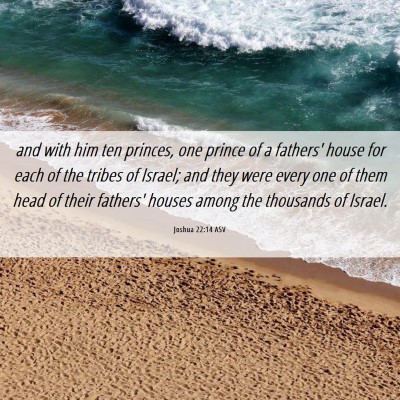 Picture 06 - Joshua 22:14 ASV - and with him ten princes, one prince of a - Bible Verse Picture