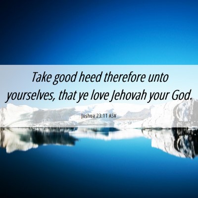 Picture 06 - Joshua 23:11 ASV - Take good heed therefore unto yourselves, that ye - Bible Verse Picture