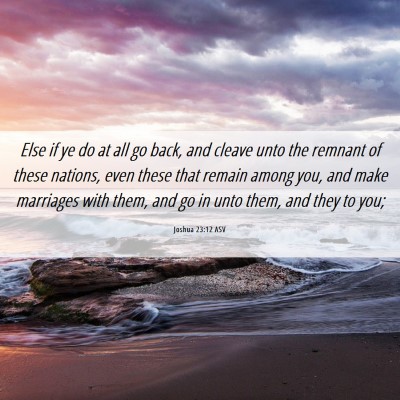 Picture 06 - Joshua 23:12 ASV - Else if ye do at all go back, and cleave unto the - Bible Verse Picture