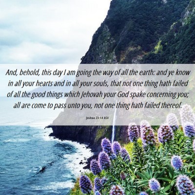 Picture 06 - Joshua 23:14 ASV - And, behold, this day I am going the way of all - Bible Verse Picture