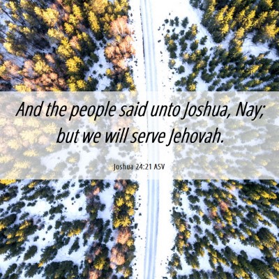 Picture 06 - Joshua 24:21 ASV - And the people said unto Joshua, Nay; but we will - Bible Verse Picture