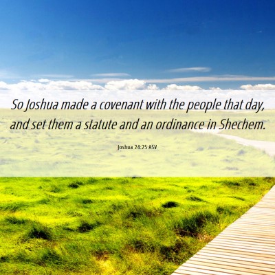 Picture 06 - Joshua 24:25 ASV - So Joshua made a covenant with the people that - Bible Verse Picture