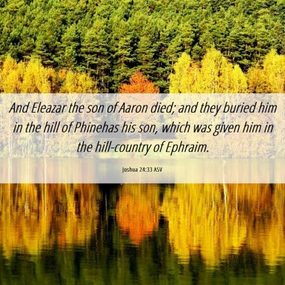 Picture 06 - Joshua 24:33 ASV - And Eleazar the son of Aaron died; and they - Bible Verse Picture