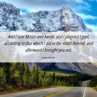 Picture 06 - Joshua 24:5 ASV - And I sent Moses and Aaron, and I plagued Egypt, - Bible Verse Picture