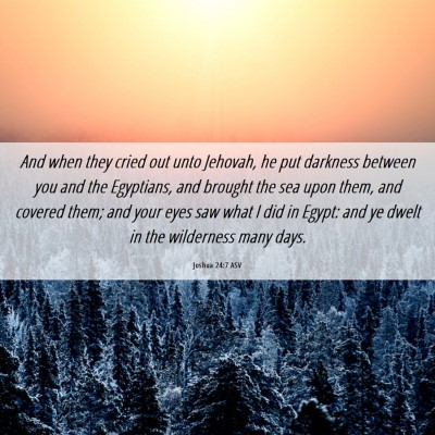 Picture 06 - Joshua 24:7 ASV - And when they cried out unto Jehovah, he put - Bible Verse Picture