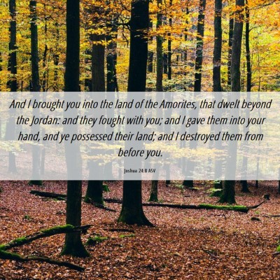 Picture 06 - Joshua 24:8 ASV - And I brought you into the land of the Amorites, - Bible Verse Picture