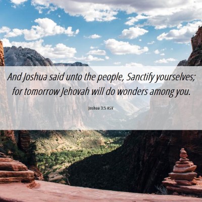 Picture 06 - Joshua 3:5 ASV - And Joshua said unto the people, Sanctify - Bible Verse Picture