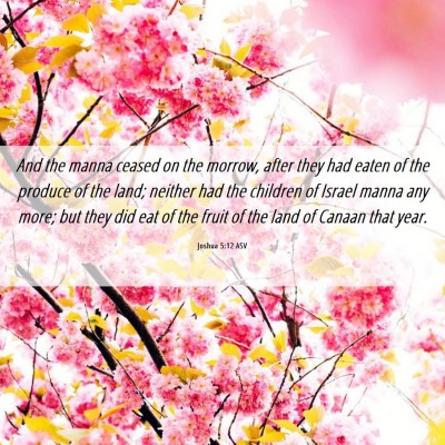 Picture 06 - Joshua 5:12 ASV - And the manna ceased on the morrow, after they - Bible Verse Picture