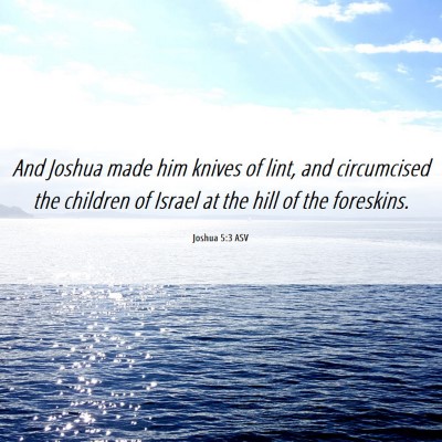 Picture 06 - Joshua 5:3 ASV - And Joshua made him knives of lint, and - Bible Verse Picture