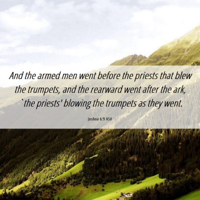 Picture 06 - Joshua 6:9 ASV - And the armed men went before the priests that - Bible Verse Picture