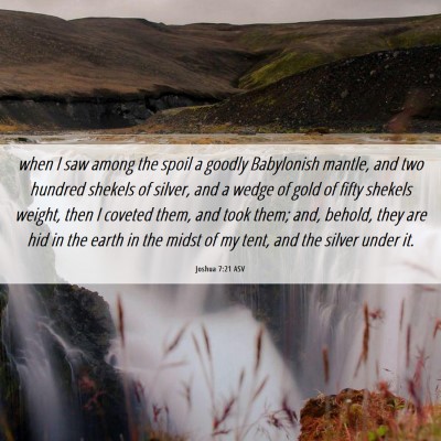 Picture 06 - Joshua 7:21 ASV - when I saw among the spoil a goodly Babylonish - Bible Verse Picture