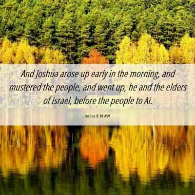 Picture 06 - Joshua 8:10 ASV - And Joshua arose up early in the morning, and - Bible Verse Picture