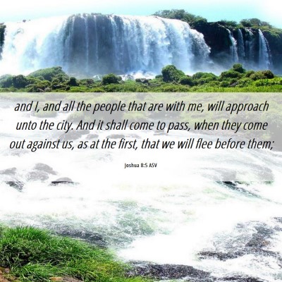 Picture 06 - Joshua 8:5 ASV - and I, and all the people that are with me, will - Bible Verse Picture