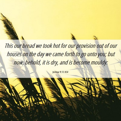 Picture 06 - Joshua 9:12 ASV - This our bread we took hot for our provision out - Bible Verse Picture