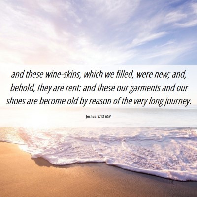 Picture 06 - Joshua 9:13 ASV - and these wine-skins, which we filled, were new; - Bible Verse Picture