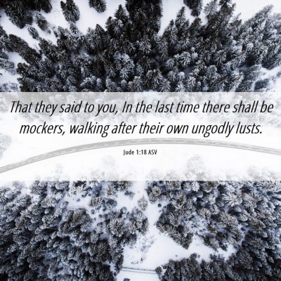 Picture 06 - Jude 1:18 ASV - That they said to you, In the last time there - Bible Verse Picture