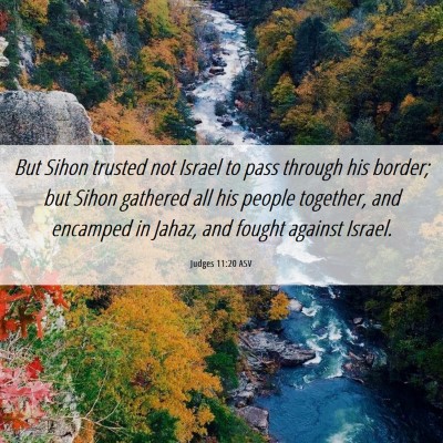 Picture 06 - Judges 11:20 ASV - But Sihon trusted not Israel to pass through his - Bible Verse Picture