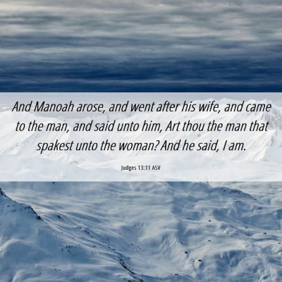 Picture 06 - Judges 13:11 ASV - And Manoah arose, and went after his wife, and - Bible Verse Picture