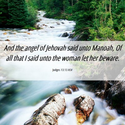 Picture 06 - Judges 13:13 ASV - And the angel of Jehovah said unto Manoah, Of all - Bible Verse Picture