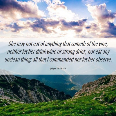 Picture 06 - Judges 13:14 ASV - She may not eat of anything that cometh of the - Bible Verse Picture